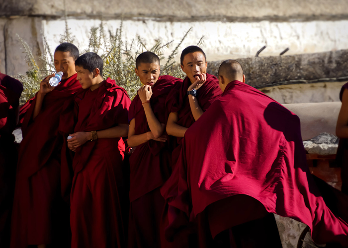チベット仏教 僧侶 僧衣 法衣(图4)